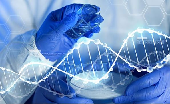 포스파티딜-세린-효능