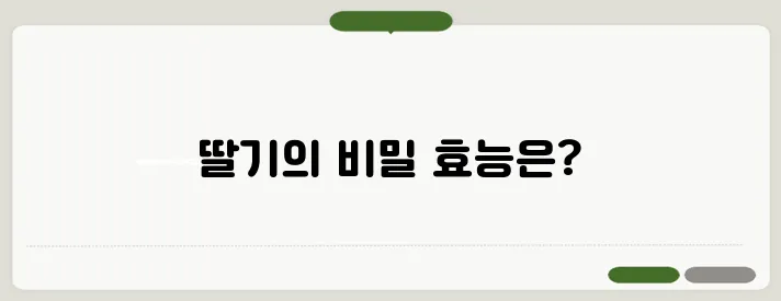 딸기효능은? 항산화 폭탄 딸기의 놀라운 효능 알아봐요!
