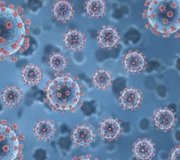 노로바이러스 증상