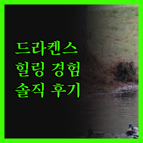 드라켄스버그 산악 피난처 솔직 후기 