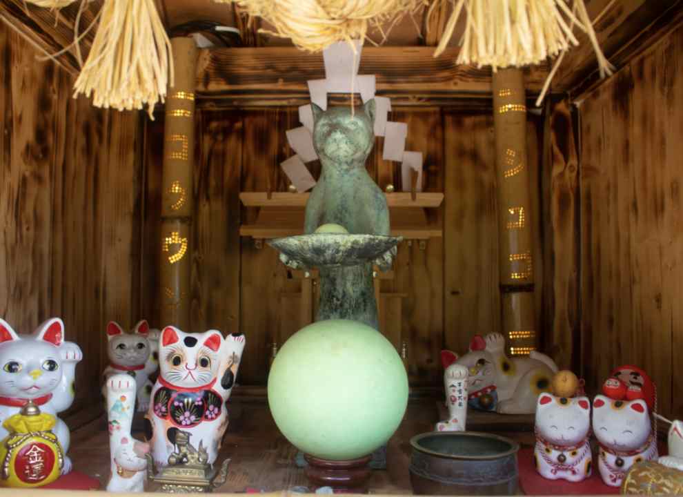 니지모리스튜디오