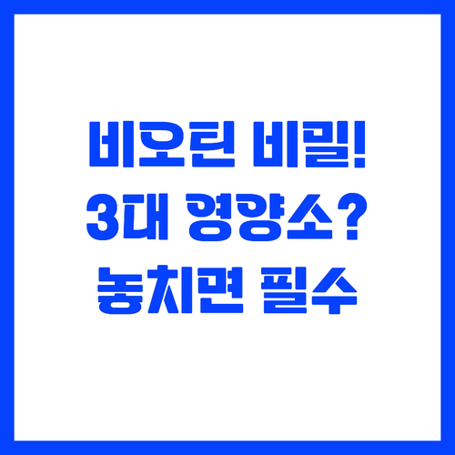 비오틴이 탈모 외에 3대 영양소 대사..