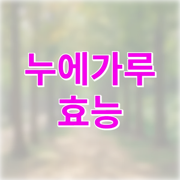 누에가루 효능