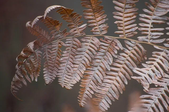 고사성어 모음 성공 사자성어 명언 모음_9