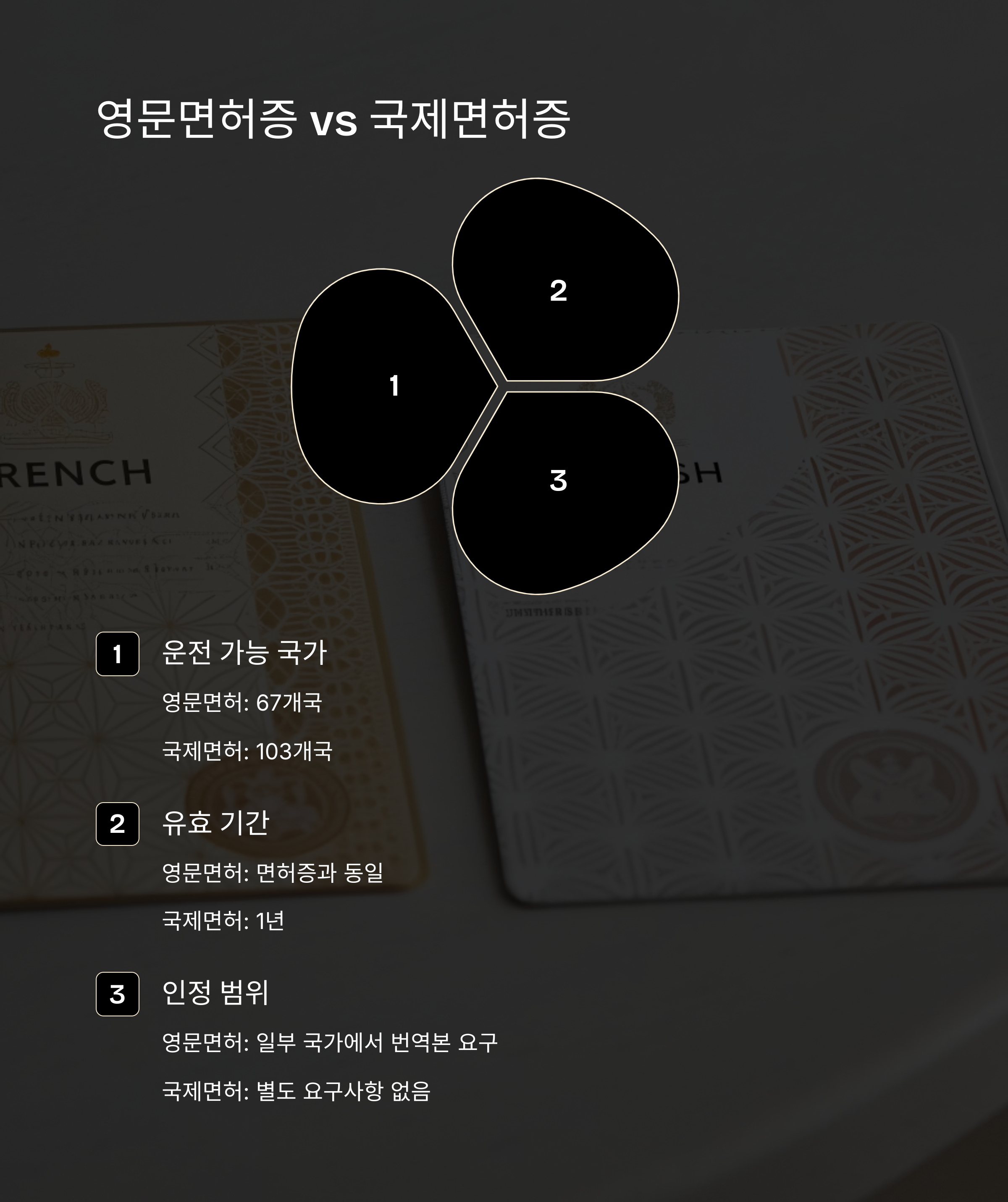 영문면허증 vs 국제면허증