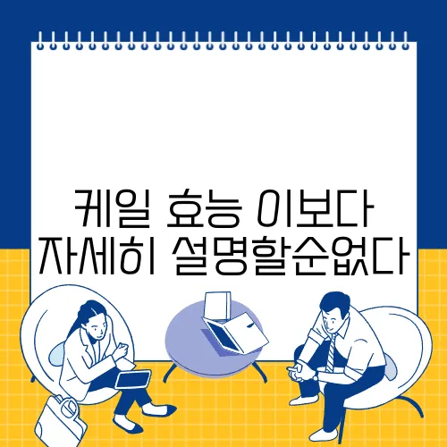 케일 효능 이보다 자세히 설명할순없다