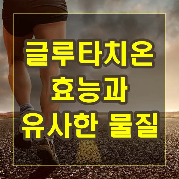 글루타치온 효능과 유사한 물질
