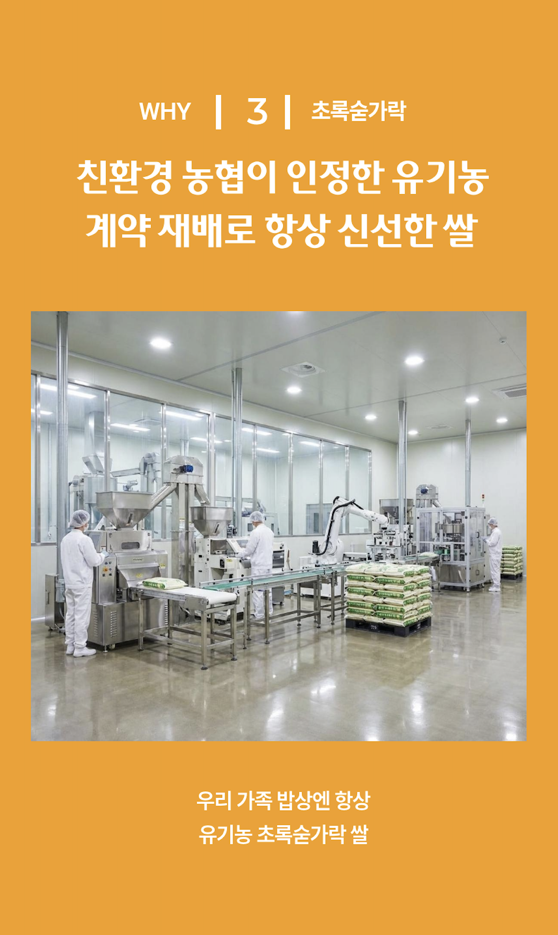 드랩아트 상세페이지 제작한 결과물