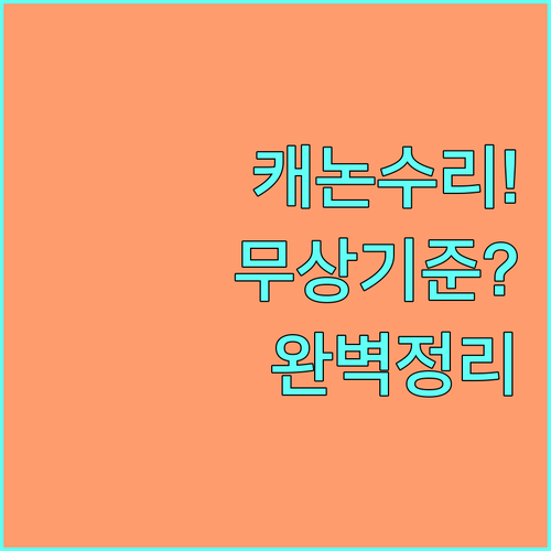 캐논 서비스 예약 및 방문 수리 진행..