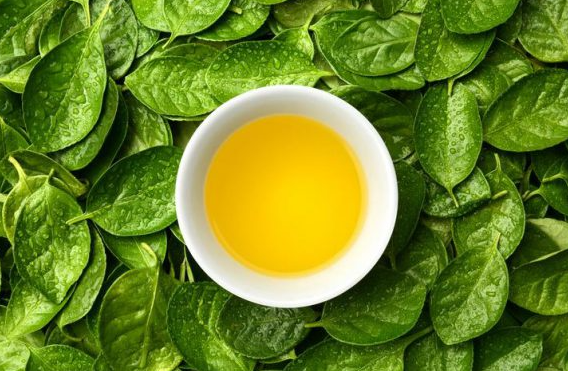 따뜻한 녹차 한잔