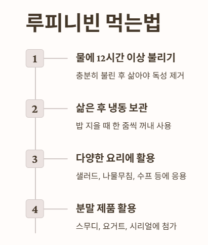 루피니빈 먹는법