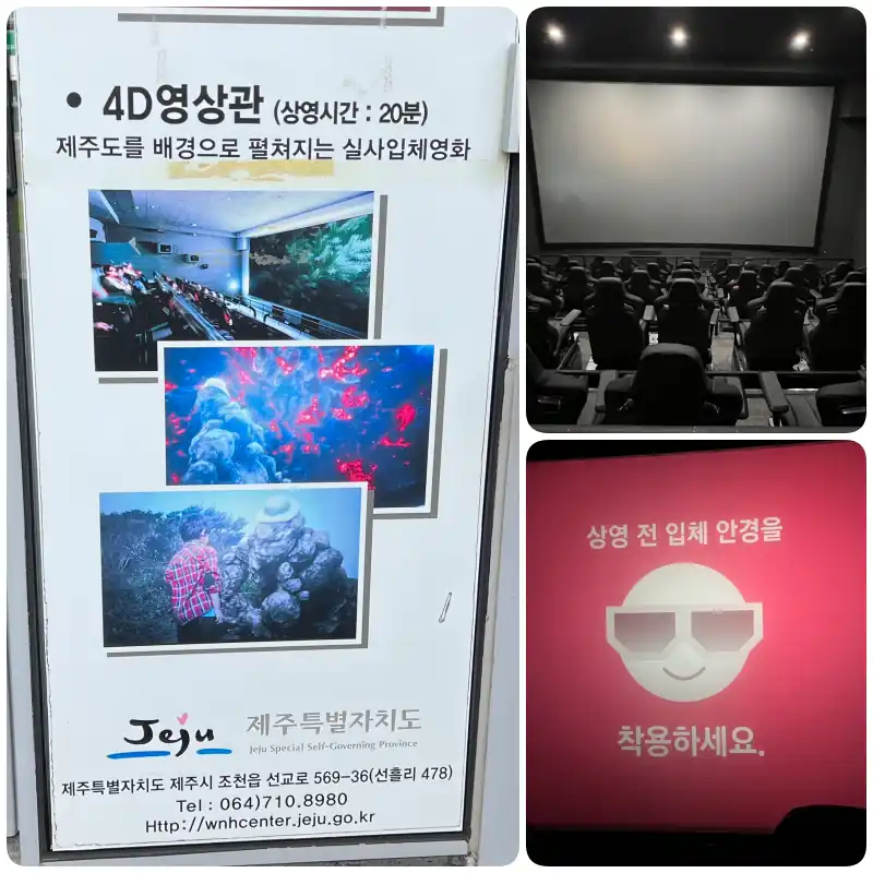 4D상영관 기본정보&#44; 입체 안경을 사용하고 의자가 흔들리는 4D 상영관 입니다.