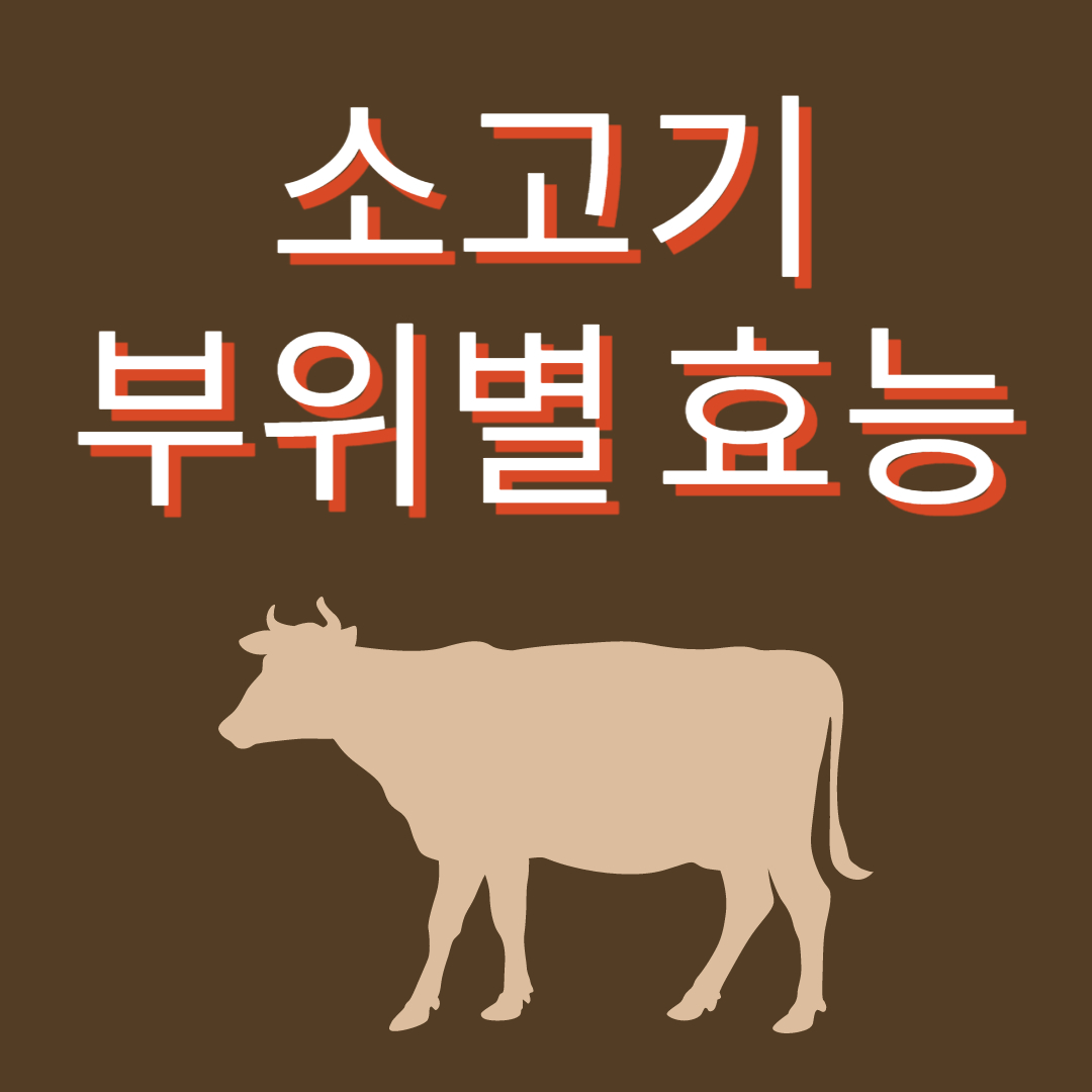 소고기 부위 명칭 종류 효능 정보