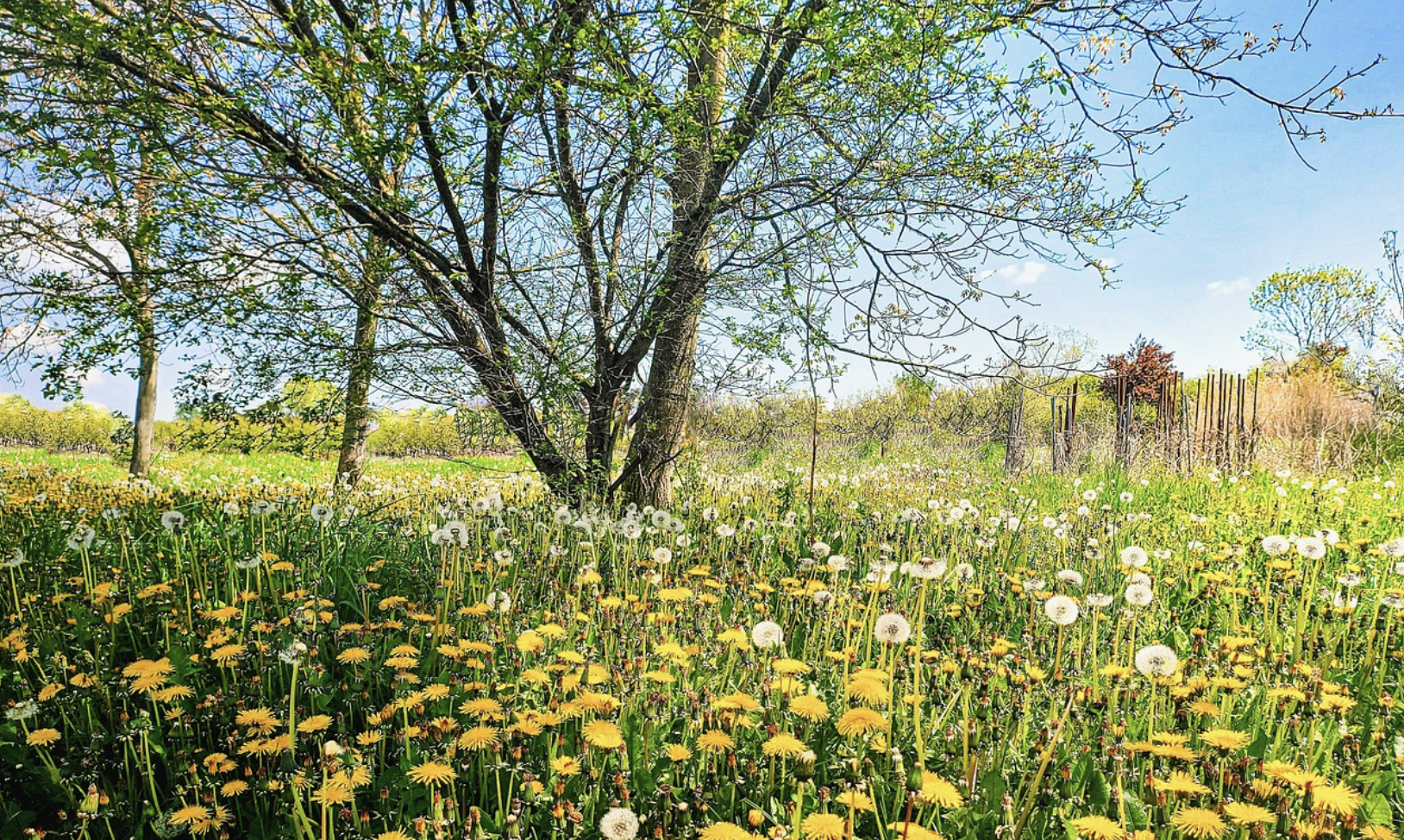 호텔스닷컴 5월 호텔 할인코드 20% 할인 (~12.31) 오사카 가볼만한곳 BEST 05 입장료 할인