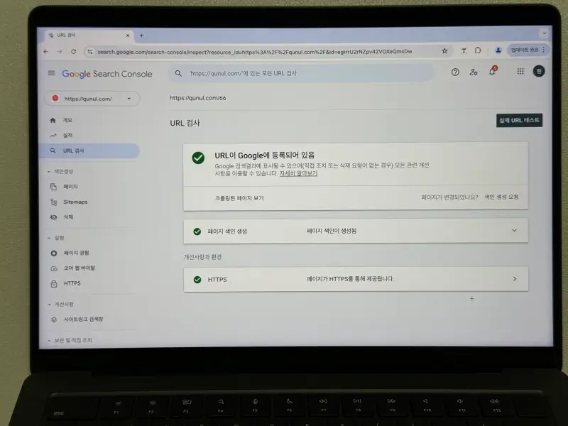 구글 서치콘솔 URL 검사 색인 생성된 페이지 사진