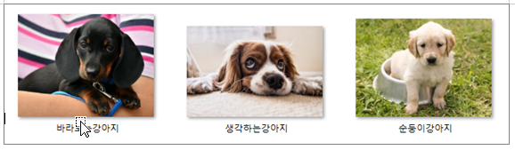 한글 캡션 설정 표번호 그림번호