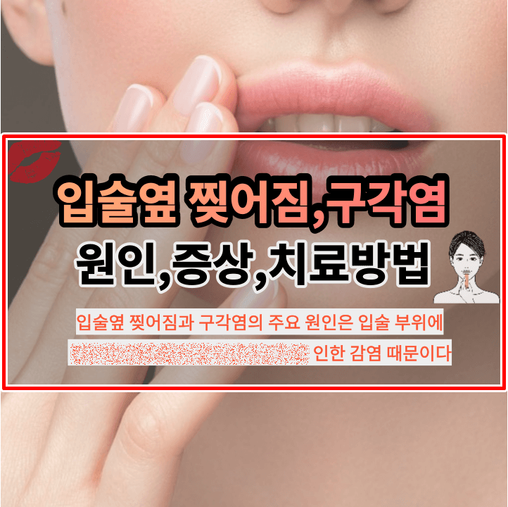 입술옆 찢어짐