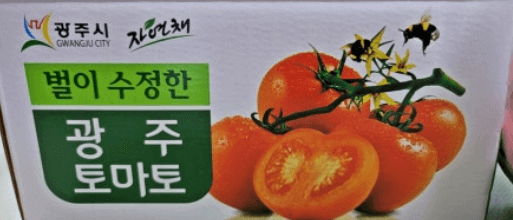 제23회 퇴촌토마토거리축제 일정&amp;#44; 프로그램&amp;#44; 꿀팁