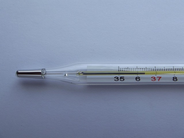 종아리 근육 통증 원인 36