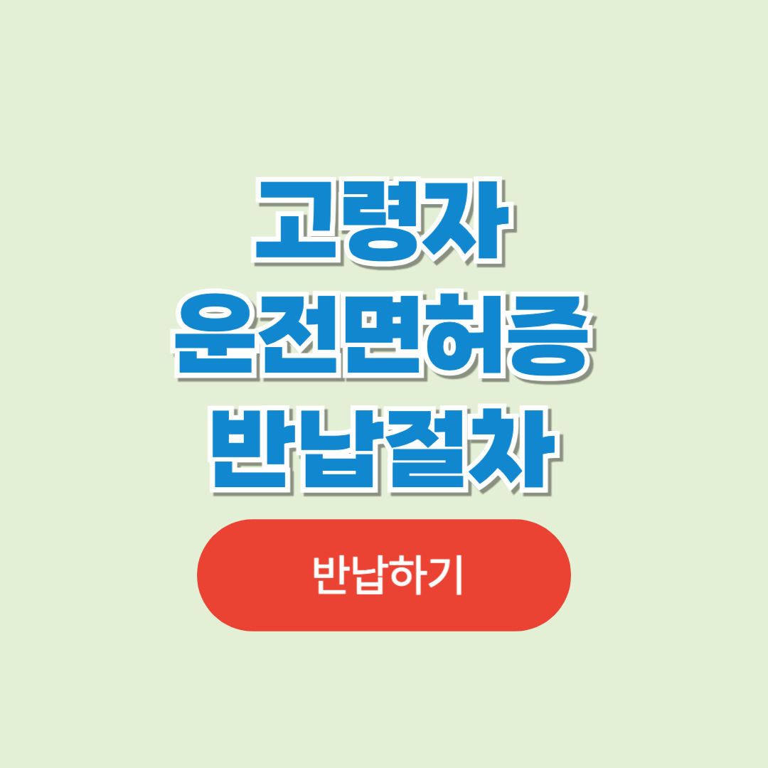 고령자 운전면허증 반납 및 혜택