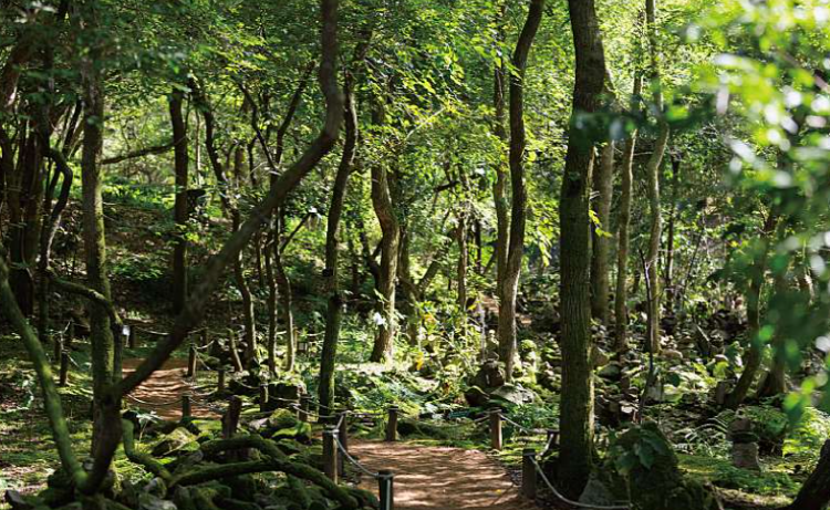 제이드가든 수목원