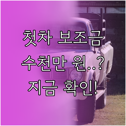 첫 차로 전기차 구매할 때 놓치면 안..