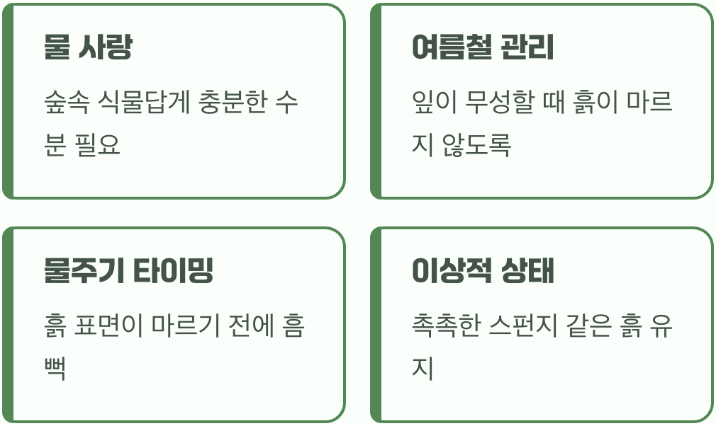 물을 사랑하는 여인