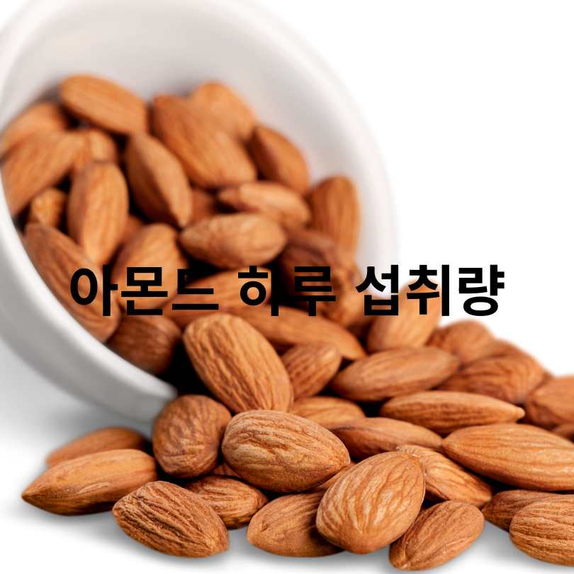 아몬드 효능과 부작용, 하루 섭취량 총정리