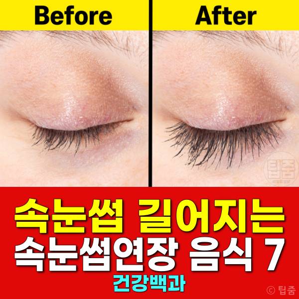 속눈썹 길어지는 음식 속눈썹연장