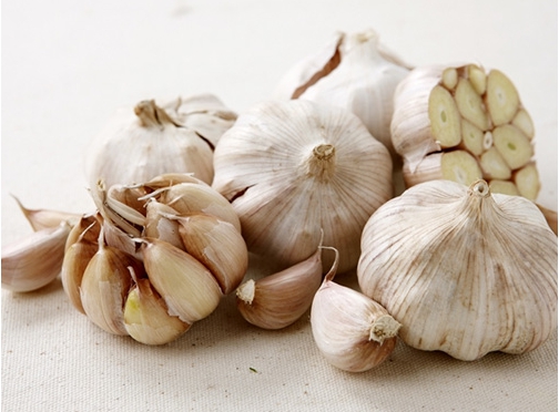 설사에 좋은 음식