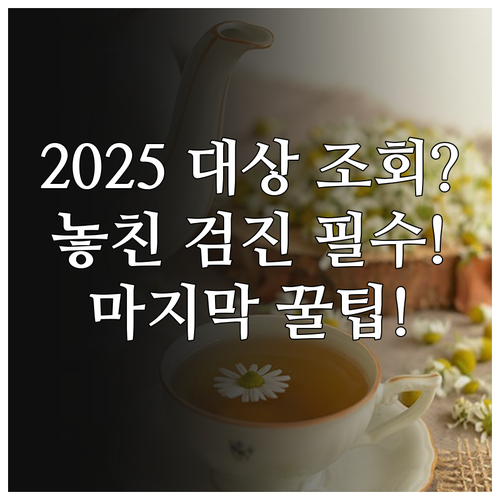 2025년 건강검진 대상자 조회 및 ..