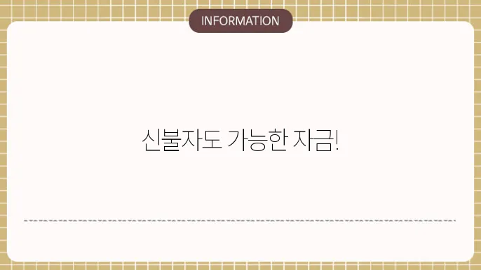 신불자 사업자대출 및 당일 대출 가능 옵션