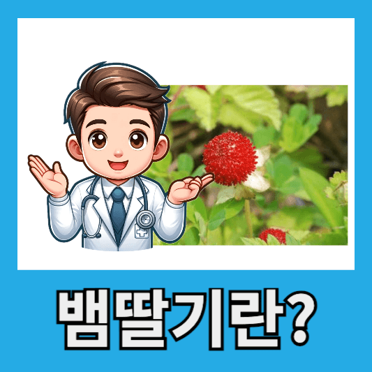 "여우딸기 뱀딸기"