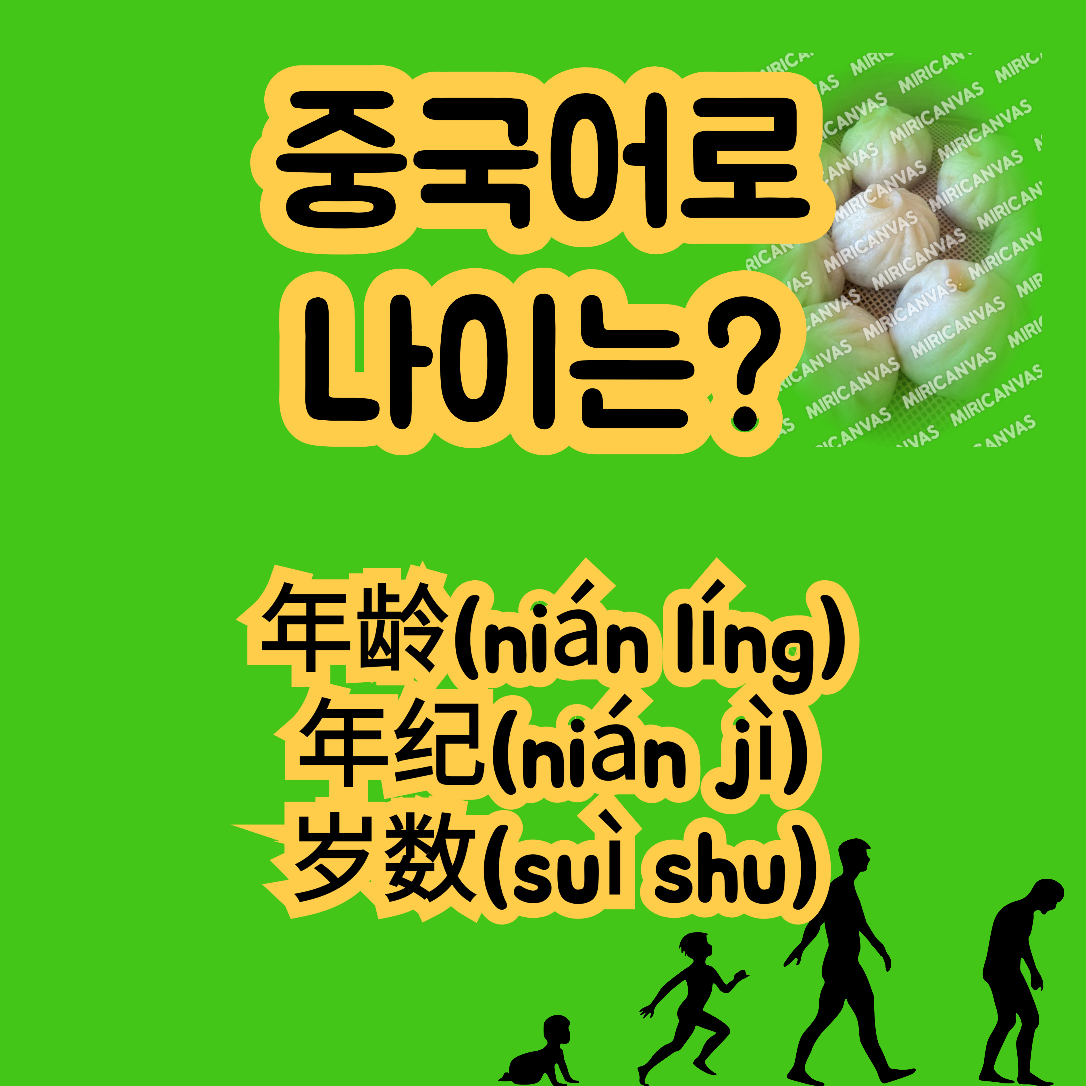 중국어로 나이 岁 年龄 年纪