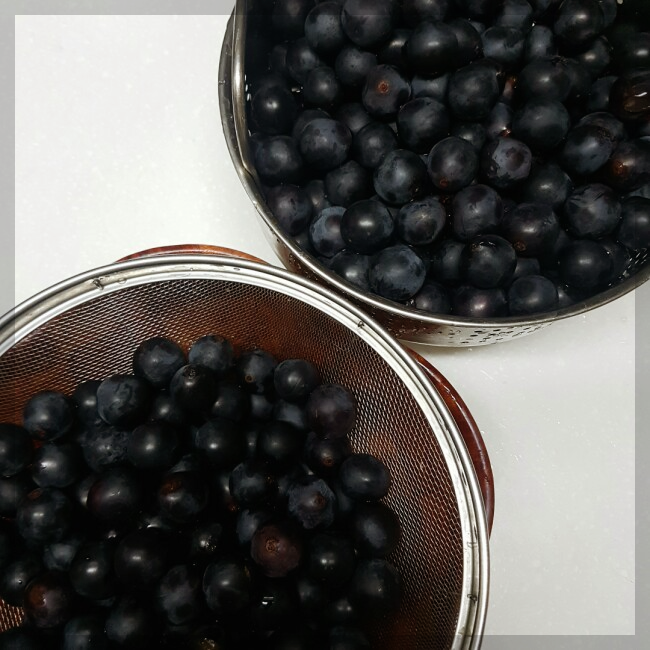 포도주-담그는-방법