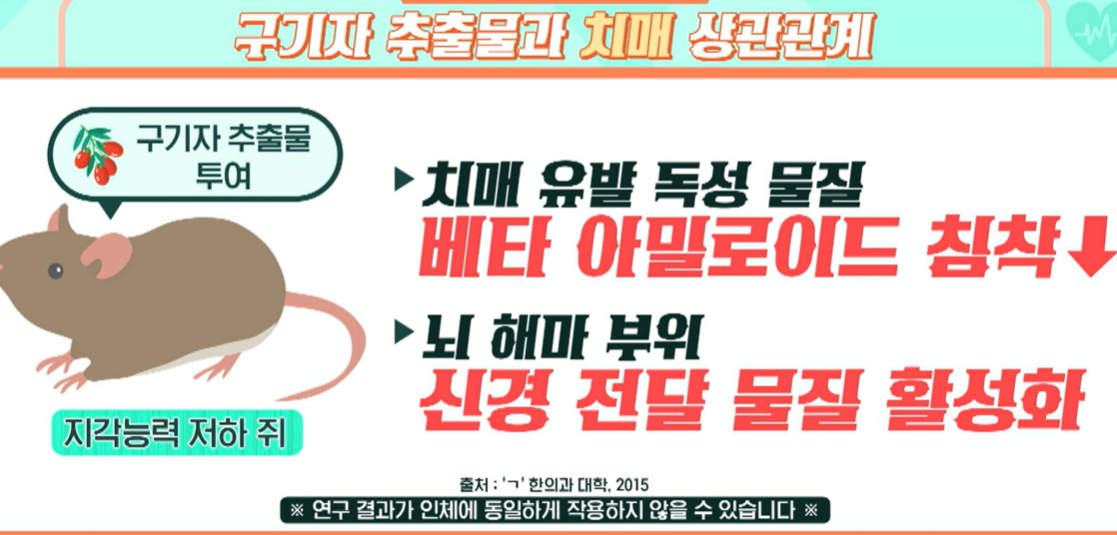 구기자 효능