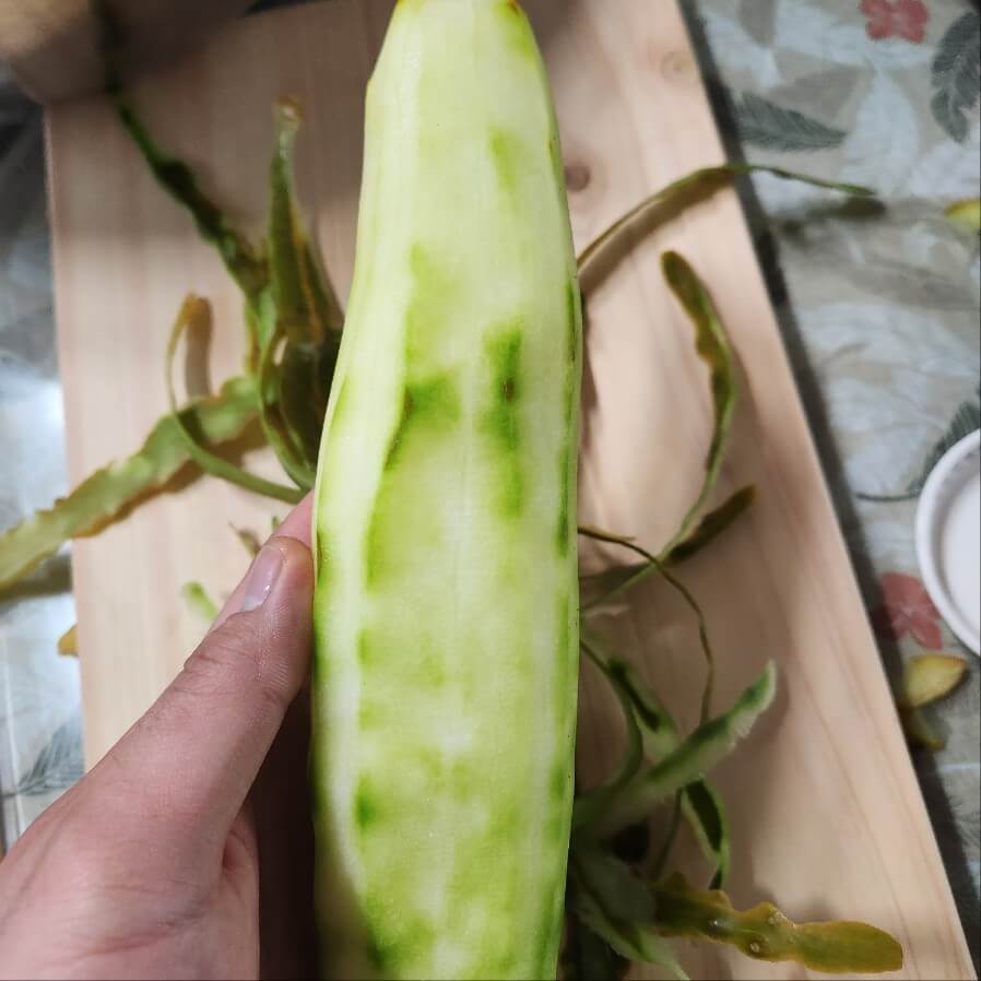 오이손질 늙은 노각 손질 노각 손질 노각효능 노각 노각무침 노각반찬 저녁반찬&amp;#44;집밥 메뉴 추천&amp;#44;반찬메뉴&amp;#44;집밥 메뉴&amp;#44;집밥 저녁메뉴&amp;#44;일주일 반찬 만들기&amp;#44;집밥 반찬&amp;#44;집밥 반찬 배달&amp;#44;소고기가지볶음 레시피 집밥반찬&amp;#44;얼갈이배추된장무침 조물조물 무쳐 맛있는 집밥반찬&amp;#44;매콤감자조림만드는법 집밥반찬 감자요리&amp;#44;우엉땅콩조림 간단한 집밥 반찬&amp;#44;밴쿠버 집밥 반찬&amp;#44;집밥 백선생3 당면찌개 따뜻한 저녁반찬&amp;#44;안성 집밥 반찬&amp;#44;집밥시골반찬식당&amp;#44;엄니 반찬&amp;집밥&amp;#44;옥이네 집밥 반찬&amp;#44;반찬엔드집밥&amp;#44;언니집밥반찬&amp;#44;여진반찬&amp;집밥&amp;#44;집밥반찬 추천&amp;#44;집밥반찬 밴쿠버&amp;#44;집밥 반찬 레시피