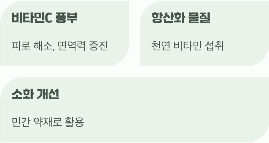 알고 보면 기특한&amp;#44; 숨겨진 효능