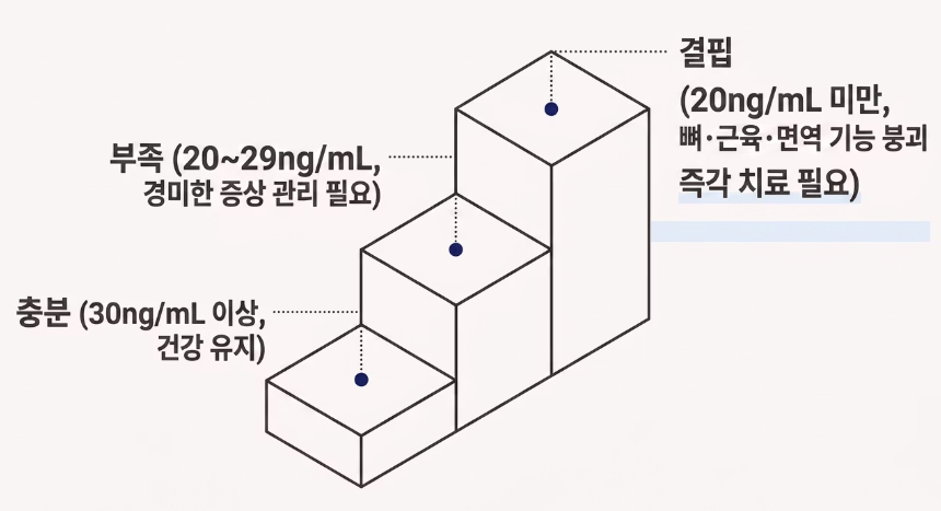 비타민d 부족증상