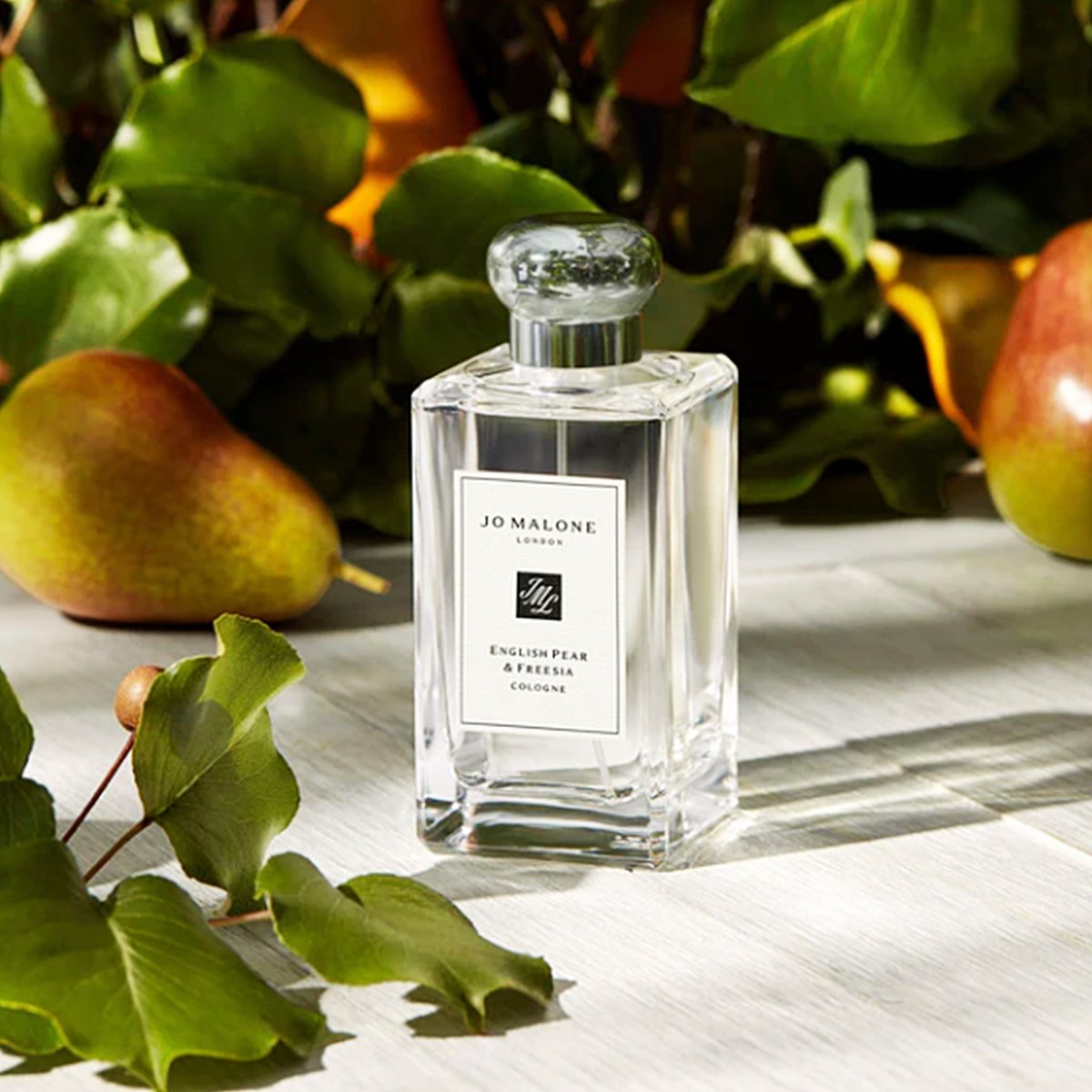 잉글리쉬 페어 앤 프리지아