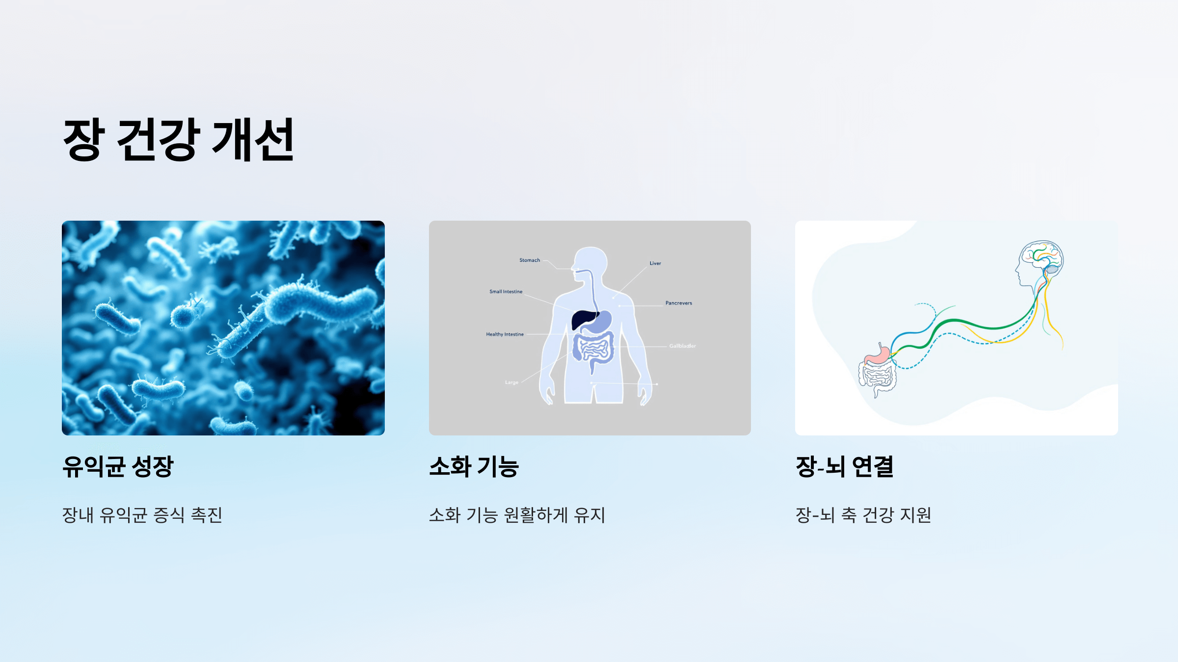 비오틴과 관련된 사진입니다.