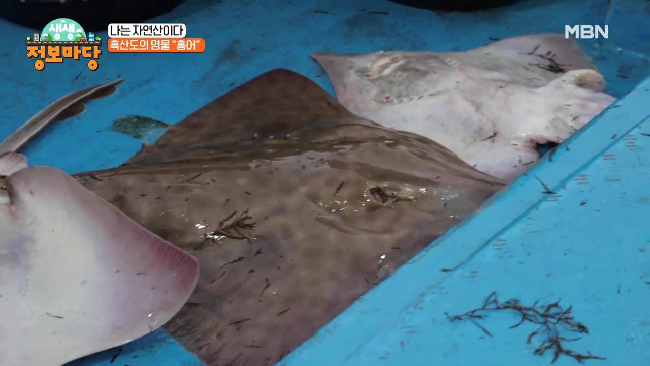 생생정보마당 흑산도홍어