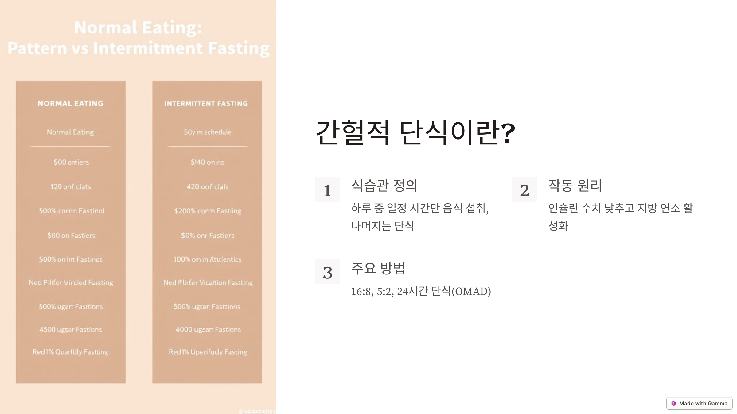 간헐적 단식 가이드