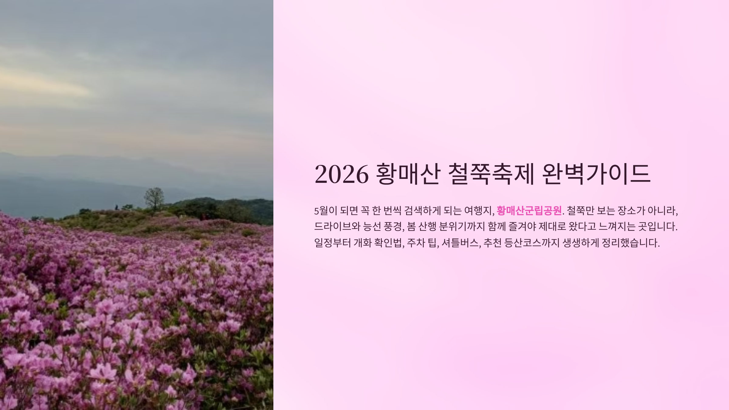 2026 황매산 철쭉축제 완벽가이드