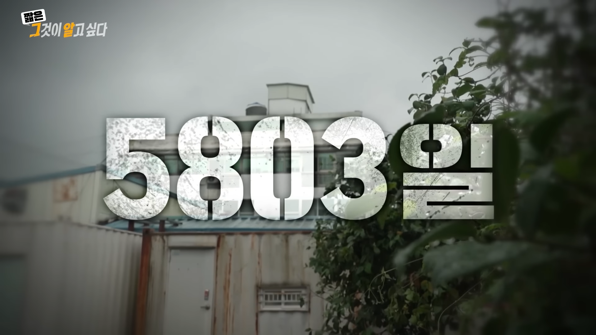 그것이 알고싶다