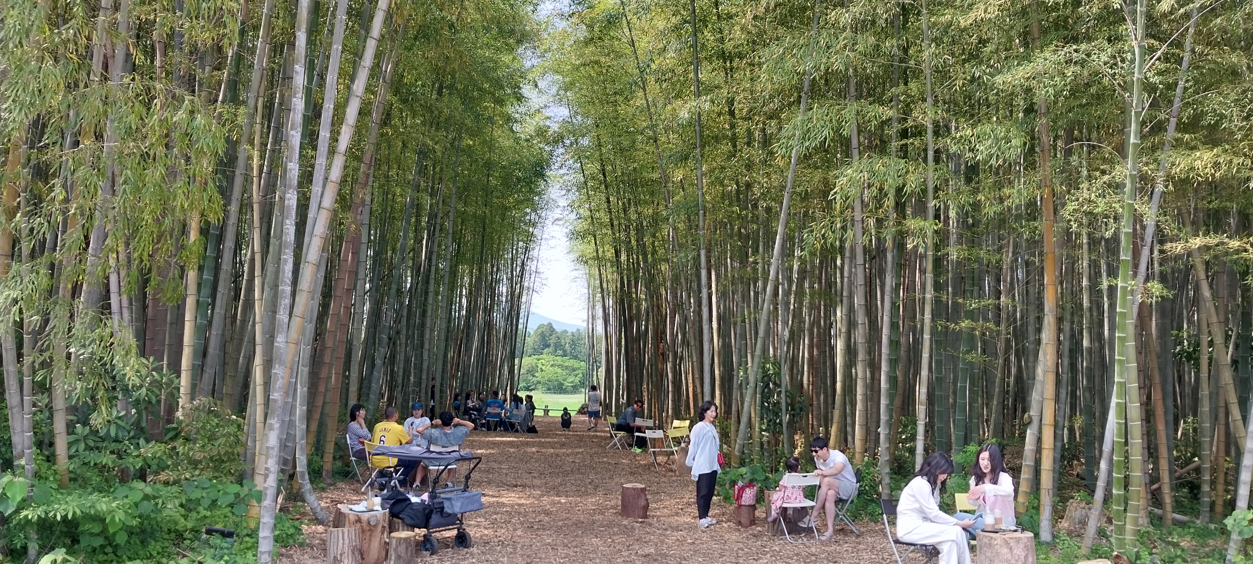 제주 대한목장