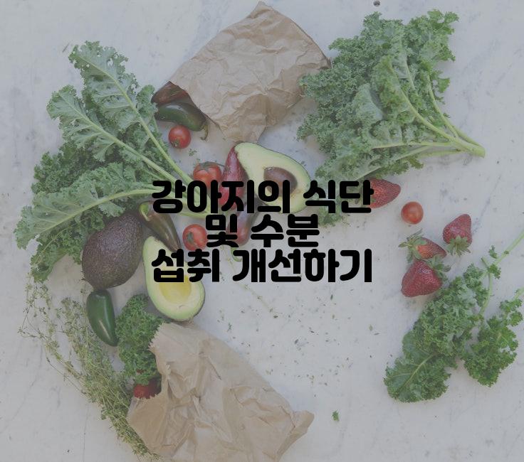 강아지의 식단 및 수분 섭취 개선하기