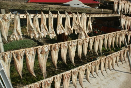 6시 내고향 통영 추도 반건조 생선 택배 주문 및 숙박예약 방법 윤성호추도물메기 (추도 배편 예약 방법)