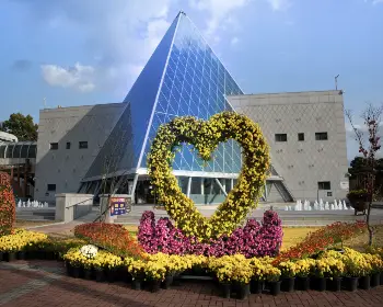 익산 천만송이 국화축제_6