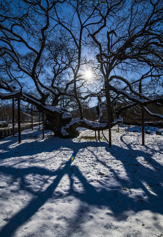 1월 전라도 광주 가볼만한곳 추천 ❘ 국내 겨울 여행지 ❘ 데이트 가족 당일치기 여행